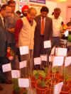 Click to enlarge Meghalaya Governor, Mr R S Mooshahary being shown some varieties of medicinal plants at the AROGYA Health Fair held at Madan iewrynghep, Shillong