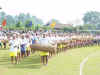 Meghalaya Chief Minister, Mr D.D. Lapang at the Wangala Festival, Garo Hills, Nov 8, 2003